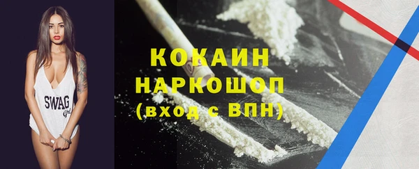 винт Ельня