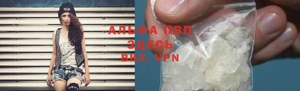 ешки Вяземский
