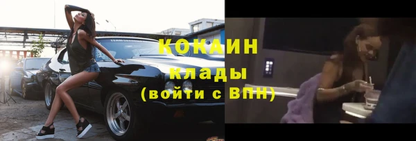 ешки Вяземский