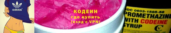 ешки Вяземский