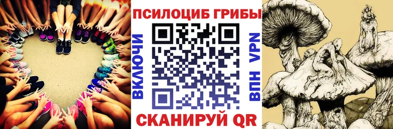 Галлюциногенные грибы Cubensis  Купить закладки  Нижний Ломов 